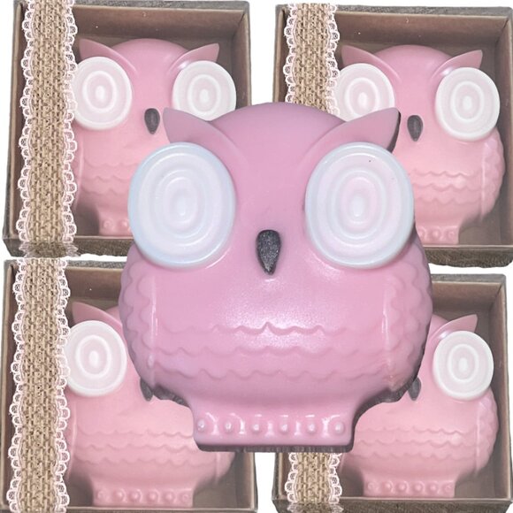 Pink Owl Soaps, Soap Set 6 Fall Soaps, Boxed Soap Gift, Birthday Gift, B-Shower